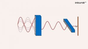 Поперечность световых волн, Поляризация света