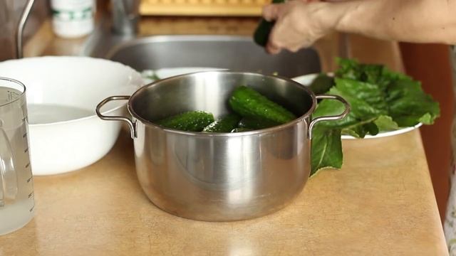 Малосольные ОГУРЦЫ ХРУСТЯТ УЖЕ В КАСТРЮЛЕ ? Холодный способ приготовления смотреть онлайн