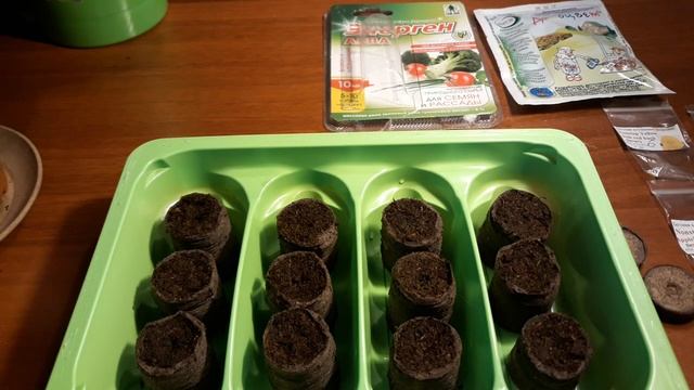 СЕЕМ БЕГОНИЮ ПРАВИЛЬНО ! ? смотреть онлайн