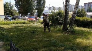 Формируем кусты триммером