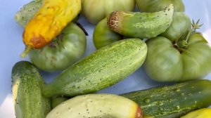 Хафта Беджар  Азербайджанская Кухня Деревенская Кухня  Рецепты