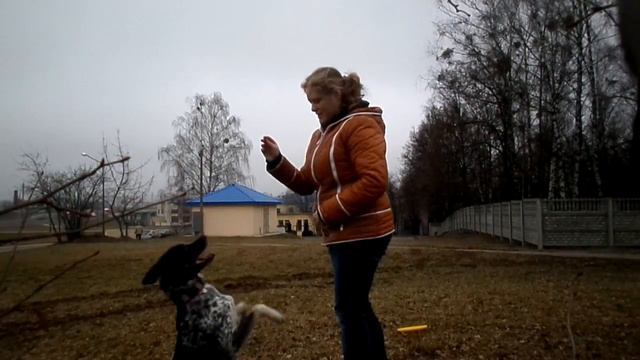 Дива Фрисби почти 4 года 2017 г смотреть онлайн