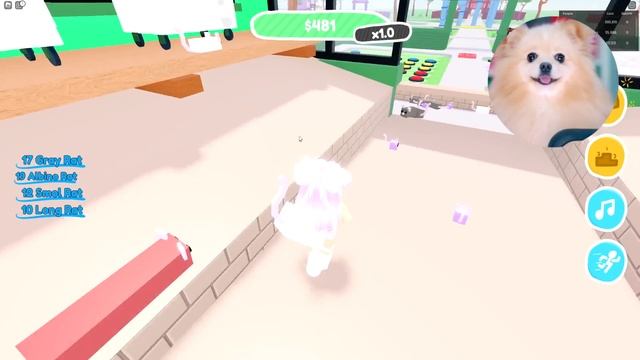 КУПАЮ МЫШЕЙ В РОБЛОКС ! ПЕРВЫЙ РАЗ МОЮ МЫШЕК В ROBLOX смотреть онлайн