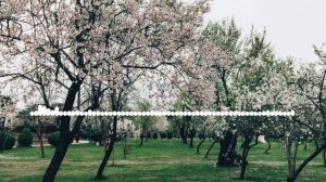 Индира Омарова - Урши х1ела гъай далас2024