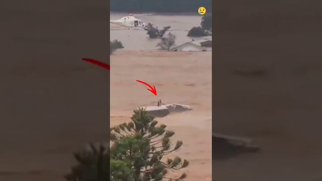 Таких бедствий мир ещё не видел | СМИ МОЛЧАТ