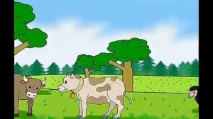 Spotlight 3 p.75 ex.5 DVD