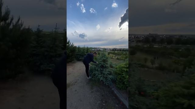 Статуя Христа Царя самая большая в мире статуя Иисуса, установлена на окраине города Свебодзин смотреть онлайн