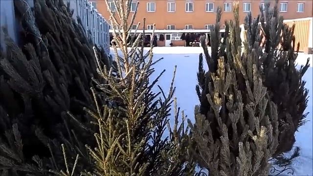 Караганда 2018: экскурсия по Михайловскому рынку смотреть онлайн