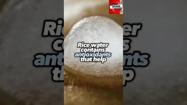 Frozen Beauty Secret: Rice Water Ice Cubes For Glowing Skin #shorts #skincare #ricewaterbenefits