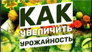 Чудеса, да и только. Отзывы реальные об эм эко. Удивительно. смотреть онлайн