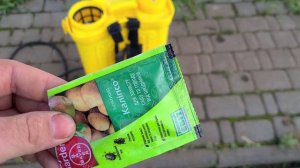 ОСТОРОЖНО! Опасный цветоед на деревьях. Методы борьбы с Аленкой мохнатой.