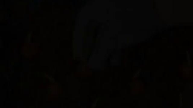 Когда выкапывать и высаживать луковицы крокусов смотреть онлайн