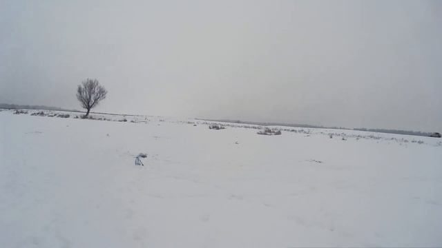 Первая рыбалка на жерлицы 2019. Первый трофей! смотреть онлайн