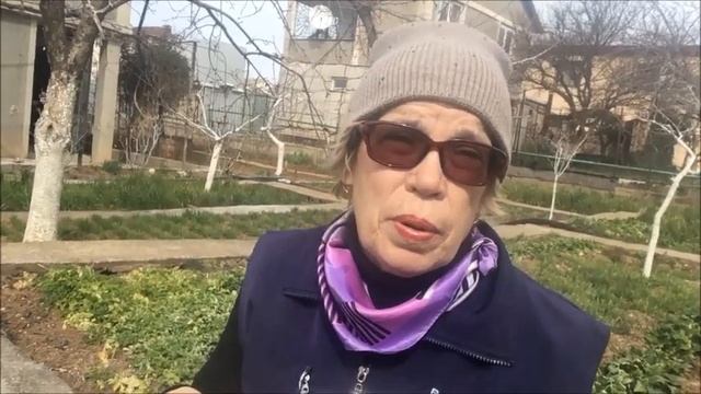 САДОВЫЙ ВЛОГ / ОТВЕТЫ НА ВОПРОСЫ / КОГДА САЖАТЬ / ЧЕМ БЕЛИТЬ ДЕРЕВЬЯ / РОЗЫ ПОСЛЕ ЗИМЫ смотреть онлайн
