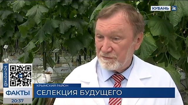 День открытых дверей в Крымске смотреть онлайн