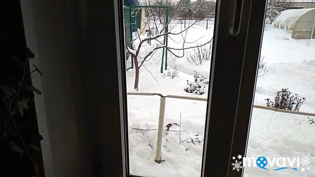 фарширую перец.няньчую Максимку.готовлю кушать.блины к чаю.покупки и подарок мужу.