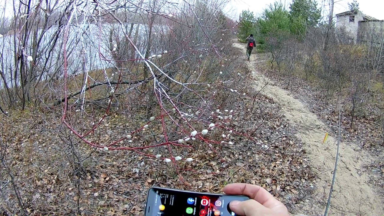 Природа сошла с ума . смотреть онлайн