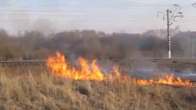 Пал сухой травы в Ярцеве смотреть онлайн