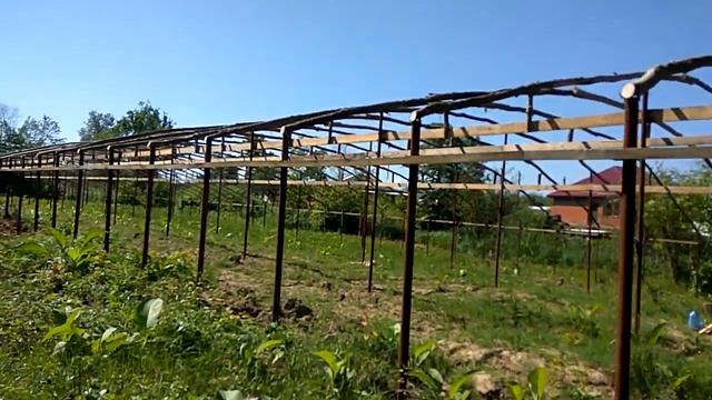 Моя теплица 1300м2