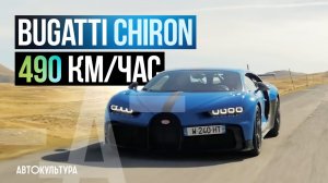 Bugatti Chiron! 490 км час  Тест-драйвы Давида Чирони