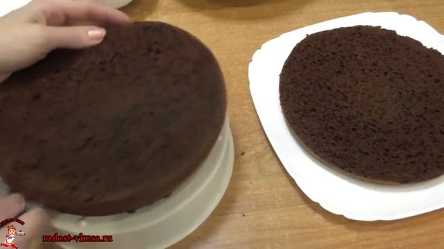 Торт Кучерявый пинчер смотреть онлайн