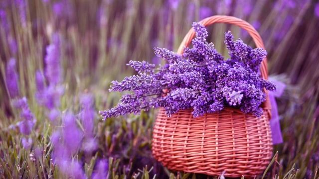 Ваше Благополучие зависит от подсознания! смотреть онлайн