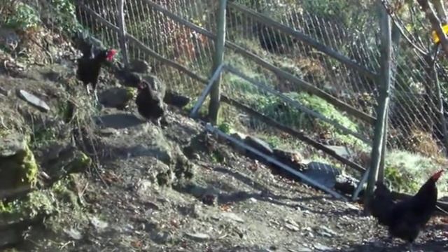 barbezieux 2010 смотреть онлайн