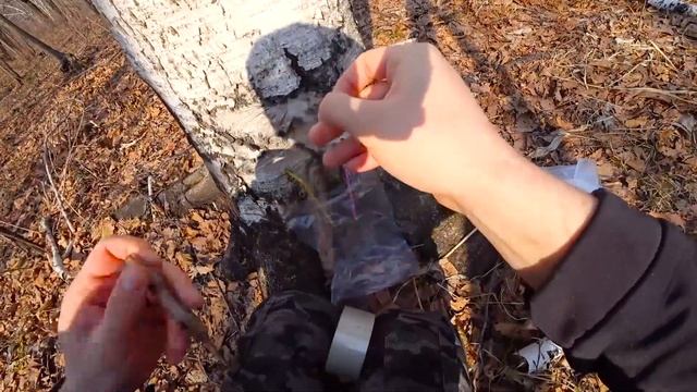 Загадочная Поваренная Книга