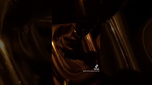 Одной рукой снимаю на телефон второй переключаю передачи, рулить некому ??? была бы третья рука смотреть онлайн