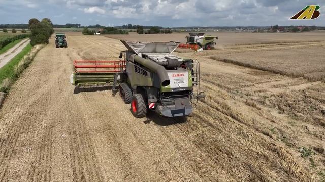 Getreideernte Weizen 3 Mähdrescher & Traktoren Landwirtschaft Gut Hohen Luckow Big Harvester Harves