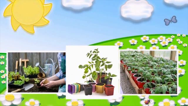 Занятие Весна 4 ДОУ 70 Братск смотреть онлайн