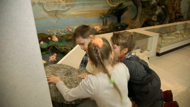 Экскурсия в краеведческий музей г.Хабаровск смотреть онлайн