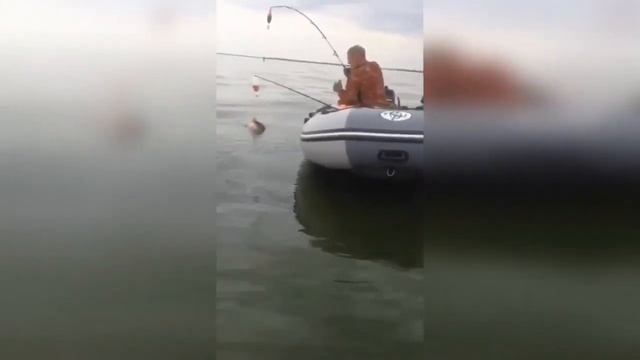 ВОТ ЭТО УЛЁТНАЯ РЫБАЛКА 2019 Вот это приколы на рыбалке #93 смотреть онлайн