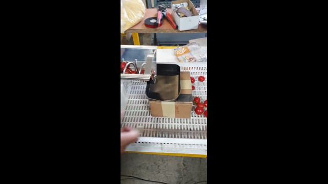 Питатель-дозатор DAN-SP-1 ( для фруктов, овощей, мелкоштучных продуктов) смотреть онлайн