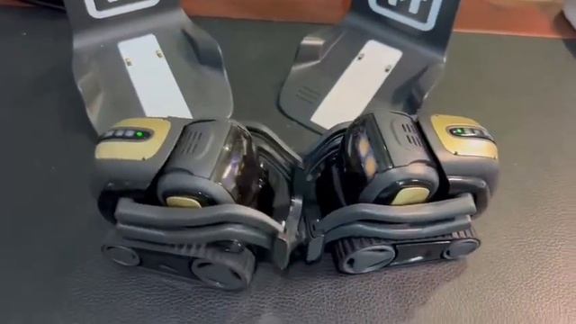 Vector 1.0 Meets Vector 2.0