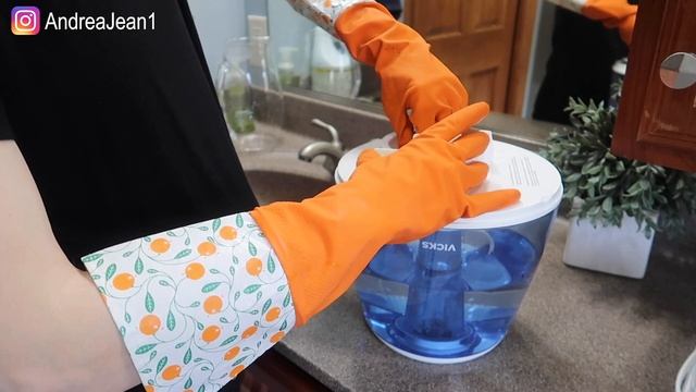 How to DISINFECT a Humidifier With Bleach | Andrea Jean смотреть онлайн