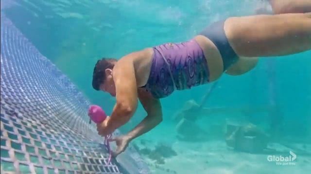 Survivor Island of Idols - Immunity/Reward Challenge #3 /Part 1 смотреть онлайн