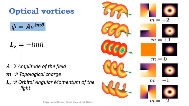 QOL Seminar 2023.02.10 part1 смотреть онлайн