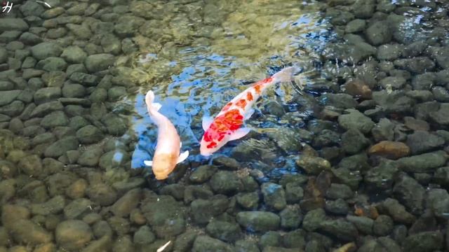 FLYING OVER JAPAN (4K UHD)- Relaxing Music Along With Beautiful Nature Videos - 4K Video Ultra HD смотреть онлайн