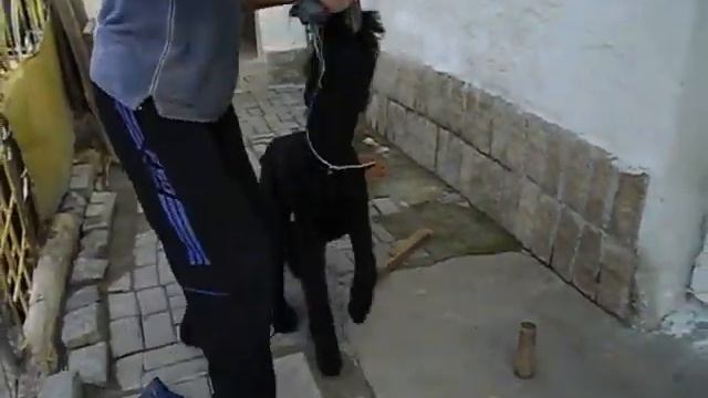 моррис с тряпкой смотреть онлайн