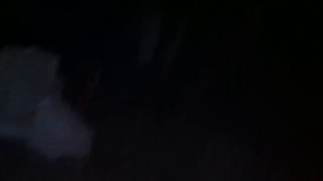 Кормим лису в лесу х)) смотреть онлайн