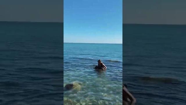 #енот #вода #море #енотик #купаться #питомцы #вмиреживотных #животные #funny #пушистики смотреть онлайн