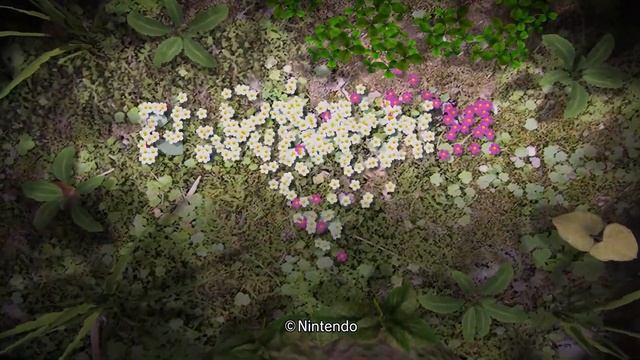 Pikmin 1&2 HD Remaster - Official Launch Trailer | Nintendo Direct 2023 смотреть онлайн