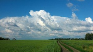 440 Родители и дети - Василий Савич