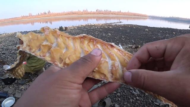 ЮКОЛА прямо в ПАЛАТКЕ смотреть онлайн