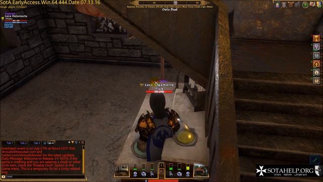 Shroud of the Avatar Taming for Beginners смотреть онлайн