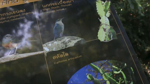 Что посмотреть в Таиланде! Ангтонг - соленое озеро, каяки и снорклинг смотреть онлайн