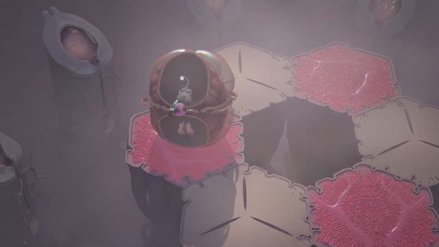 Cocoon - Official Launch Trailer