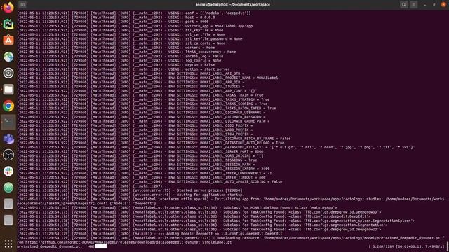 MONAI Label - Installation with PyPi, Docker, and GitHub смотреть онлайн