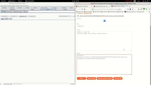 Reflected XSS with AngularJS sandbox escape and CSP (Video solution) смотреть онлайн